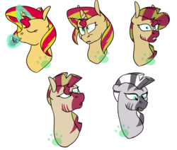 Size: 800x677 | Tagged: safe, artist:vorian caverns, sunset shimmer, pony, unicorn, zebra, g4, bust, female, mare, potion, quadrupedal, simple background, solo, species swap, transformation, transformation sequence, transparent background, watermark, zebrafied