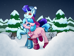 Size: 4000x3000 | Tagged: safe, artist:witchtaunter, oc, oc only, pony, unicorn, beanie, booties, clothes, commission, forest, hat, night, scarf, snow, winter