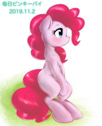 Size: 2048x2528 | Tagged: safe, artist:kurogewapony, pinkie pie, earth pony, pony, g4, cute, diapinkes, female, high res, japanese, mare, profile, sitting, solo