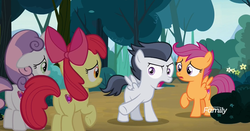 Size: 1179x617 | Tagged: safe, screencap, apple bloom, rumble, scootaloo, sweetie belle, earth pony, pegasus, pony, unicorn, g4, marks and recreation, bloom butt, butt, colt, cutie mark, cutie mark crusaders, discovery family logo, female, filly, male, plot, sweetie butt