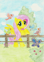 Size: 1500x2121 | Tagged: safe, artist:r1nkaenbyou, fluttershy, bird, butterfly, pony, g4, bush, female, fence, flower, grass, looking at you, mare, solo, traditional art