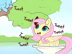 Size: 2000x1500 | Tagged: safe, artist:evehly, fluttershy, rainbow dash, pegasus, pony, g4, behaving like a bird, bird bath, chest fluff, colored wings, cropped, cute, female, mare, meme, needs more jpeg, prone, river, shyabetes, tree, two toned wings, upscaled, wings