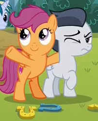 Size: 271x336 | Tagged: safe, screencap, rumble, scootaloo, skeedaddle, pegasus, pony, unicorn, g4, marks and recreation, colt, cropped, duo focus, female, filly, horseshoes, male