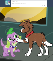 Size: 800x908 | Tagged: safe, artist:askwinonadog, spike, spike the regular dog, winona, dog, ask winona, equestria girls, g4, alternate dimension, ask, duo, poking, tumblr