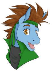 Size: 1555x1960 | Tagged: safe, artist:caff, oc, oc only, pony, doodle, head shot, simple background, solo, transparent background