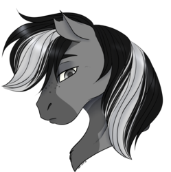 Size: 1817x1823 | Tagged: safe, artist:caff, oc, oc only, oc:chron, pony, commission, head shot, simple background, solo, transparent background