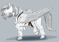 Size: 2649x1917 | Tagged: safe, artist:caff, oc, oc only, oc:lumi, pegasus, pony, commission, male, solo, stallion