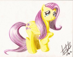 Size: 2183x1700 | Tagged: safe, artist:fizzyrox, fluttershy, pegasus, pony, g4, female, mare, raised hoof, signature, solo, traditional art
