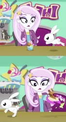 Size: 546x1006 | Tagged: safe, screencap, angel bunny, fleur-de-lis, human, rabbit, equestria girls, g4, my little pony equestria girls: choose your own ending, tip toppings, tip toppings: fluttershy, angel is a bunny bastard, animal, eye twitch, female, froyo, frozen yogurt, frozen yogurt machine, frozen yogurt shop, shocked