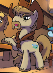 Size: 520x710 | Tagged: safe, artist:tony fleecs, idw, official comic, rugged hills, earth pony, pony, from the shadows, g4, spoiler:comic, spoiler:comic51, background pony, cowboy hat, cropped, facial hair, hat, male, moustache, solo focus, stallion