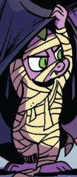 Size: 225x515 | Tagged: safe, artist:andypriceart, idw, spike, dragon, g4, spoiler:comic, spoiler:comic71, clothes, costume, cropped, mummy, mummy costume