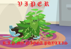 Size: 1046x719 | Tagged: safe, phyllis, pony, g4, album cover, plant, potted plant, viper