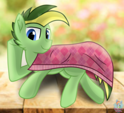 Size: 1185x1080 | Tagged: safe, artist:rainbow eevee, oc, oc only, oc:didgeree, pegasus, pony, blanket, cute, garden, irl, looking at you, male, photo, prone, solo, underhoof, wood