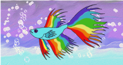 Size: 965x511 | Tagged: safe, artist:akhrrana, rainbow dash, fish, rainbow trout, g4, bubble, female, fishified, solo, species swap