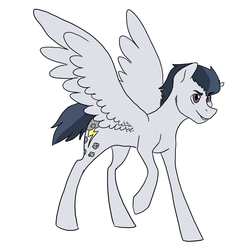 Size: 3300x3300 | Tagged: safe, artist:phobicalbino, rumble, pegasus, pony, g4, adult, cutie mark, high res, male, older, simple background, stallion
