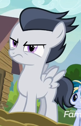 Size: 329x513 | Tagged: safe, screencap, rumble, skeedaddle, pegasus, pony, unicorn, g4, marks and recreation, colt, cropped, discovery family logo, male, solo focus