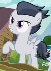Size: 365x505 | Tagged: safe, screencap, mocha berry, rumble, skeedaddle, pegasus, pony, unicorn, g4, marks and recreation, angry, colt, cropped, discovery family logo, male, raised hoof, solo focus