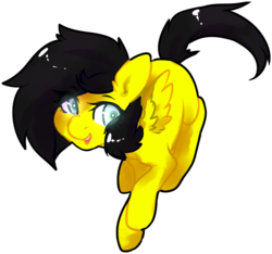 Size: 721x675 | Tagged: safe, artist:pomrawr, oc, oc only, oc:doom cakes, pegasus, pony, eye clipping through hair, pegasus oc, simple background, solo, transparent background, wings