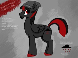 Size: 3738x2795 | Tagged: safe, artist:8loodyrain, oc, oc only, oc:bloody rain, pegasus, pony, beanie, colored hooves, hat, high res, male, pegasus oc, reference sheet, solo, stallion, wings