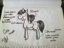 Size: 2048x1536 | Tagged: safe, artist:cookiesandcakes, oc, oc only, alicorn, pony, alicorn oc, eye clipping through hair, female, grin, horn, lined paper, mare, reference sheet, smiling, solo, spanish, traditional art