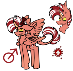 Size: 884x858 | Tagged: safe, artist:hunterthewastelander, oc, oc only, oc:jackpot chance pie, alicorn, pony, alicorn oc, bust, frown, hat, horn, interspecies offspring, male, offspring, parent:discord, parent:pinkie pie, parents:discopie, reference sheet, simple background, smiling, smirk, stallion, story included, top hat, white background