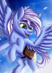 Size: 1500x2075 | Tagged: safe, artist:midnightsix3, oc, oc:holly (deltauraart), pegasus, pony, cloud, female, flying, mare, saddle bag, sky, smiling, solo