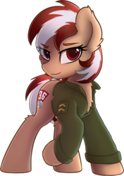 Size: 1156x1640 | Tagged: safe, artist:av-4, artist:avastin4, oc, oc only, oc:roulette, earth pony, pony, fallout equestria, fallout equestria: red 36, chest fluff, clothes, fanfic art, female, jacket, looking at you, mare, simple background, smiling, smirk, solo, transparent background
