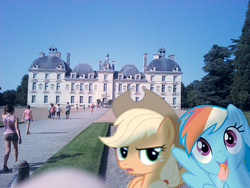 Size: 548x411 | Tagged: safe, artist:bastbrushie, applejack, rainbow dash, earth pony, pegasus, pony, g4, castle, château de cheverny, france, garden, irl, photo, ponies in real life