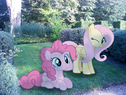 Size: 548x411 | Tagged: safe, artist:bastbrushie, fluttershy, pinkie pie, earth pony, pegasus, pony, g4, garden, irl, one eye closed, photo, ponies in real life, prone, wink
