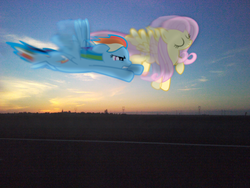 Size: 2048x1536 | Tagged: safe, artist:bastbrushie, fluttershy, rainbow dash, earth pony, pegasus, pony, g4, garden, irl, motion blur, photo, ponies in real life, sunset
