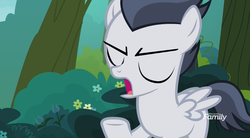 Size: 1179x649 | Tagged: safe, screencap, rumble, pegasus, pony, g4, marks and recreation, colt, discovery family logo, eyes closed, male, solo