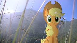 Size: 1920x1080 | Tagged: safe, artist:bastbrushie, artist:cryocubed, applejack, earth pony, pony, g4, cute, field, irl, jackabetes, lens flare, looking at you, mountain, photo, ponies in real life, solo, vector