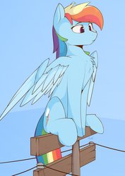 Size: 2404x3400 | Tagged: safe, artist:renderpoint, rainbow dash, pegasus, pony, g4, behaving like a bird, chest fluff, female, high res, mare, partially open wings, perching, rainbird dash, solo, telephone pole, wings