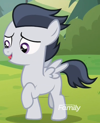 Size: 498x610 | Tagged: safe, screencap, rumble, pegasus, pony, g4, marks and recreation, colt, cropped, discovery family logo, male, solo