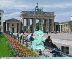 Size: 500x409 | Tagged: safe, edit, lyra heartstrings, human, pony, unicorn, g4, abraham lincoln, animated, bench, brandenburg gate, female, gif, great wall of china, irl, lincoln memorial, louvre, mare, meme, my little brony, oval office, photo, ponies in real life, sitting, sitting lyra, statue, white house