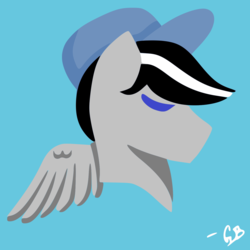 Size: 1500x1500 | Tagged: safe, artist:gblacksnow, oc, oc only, oc:chopsticks, pegasus, pony, colored, flat colors, hat, male, solo