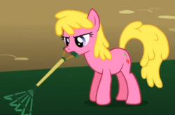 Size: 413x271 | Tagged: safe, screencap, cherry berry, earth pony, pony, g4, swarm of the century, background pony, cropped, female, frown, mare, mouth hold, rake, solo