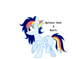 Size: 2400x1869 | Tagged: safe, artist:yaco, oc, oc only, pegasus, pony, offspring, parent:rainbow dash, parent:soarin', parents:soarindash, simple background, solo, white background