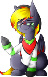 Size: 898x1433 | Tagged: artist needed, source needed, safe, oc, oc only, oc:vyni, pegasus, pony, 2020 community collab, derpibooru community collaboration, bandana, clothes, gloves, hat, heterochromia, male, signature, simple background, solo, stallion, sweatshirt, transparent background