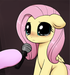 Size: 2655x2838 | Tagged: safe, artist:moozua, edit, editor:maonyman, fluttershy, pegasus, pony, g4, big eyes, blushing, crying, crying cat, cute, dilated pupils, doe eyes, female, floppy ears, high res, hoof hold, hooves, looking at you, mare, meme, microphone, missing cutie mark, offscreen character, ponified animal photo, ponified meme, sad, sadorable, shyabetes, solo focus, teary eyes, textless