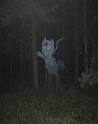 Size: 594x751 | Tagged: safe, artist:artspirit00, earth pony, ghost, pony, dead, earth, forest, male, solo, stallion