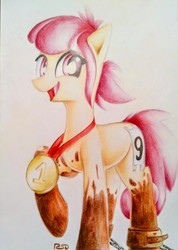 Size: 2010x2829 | Tagged: safe, artist:rsd500, oc, oc only, oc:hopple scotch, earth pony, pony, chains, dirty, female, high res, looking at you, mare, medal, mud, raised hoof, running of the leaves, simple background, smiling, solo, traditional art, ych result