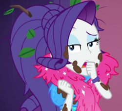 Size: 791x718 | Tagged: safe, screencap, rarity, equestria girls, g4, lost and pound, my little pony equestria girls: better together, cropped, female, solo