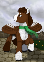 Size: 1569x2183 | Tagged: safe, artist:69beas, oc, oc only, oc:luke pineswood, pegasus, pony, chest fluff, clothes, coat markings, colored hooves, colored wings, digital art, ear fluff, fluffy, hoof fluff, looking up, male, neck fluff, pinto, raised hoof, scarf, solo, spread wings, stallion, wind, wings