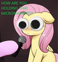 Size: 561x600 | Tagged: safe, artist:captain metric, artist:moozua, edit, fluttershy, pegasus, pony, g4, big eyes, blushing, caption, crying cat, dilated pupils, female, floppy ears, googly eyes, hoof hold, hooves, lampshade hanging, looking at you, mare, meme, microphone, offscreen character, ponified animal photo, ponified meme, solo focus, subverted meme, text
