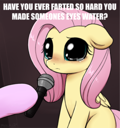 Size: 958x1024 | Tagged: safe, artist:captain metric, artist:moozua, edit, fluttershy, pegasus, pony, g4, big eyes, blushing, caption, crying, crying cat, cute, dilated pupils, female, floppy ears, hoof hold, hooves, image macro, implied farting, looking at you, mare, meme, microphone, offscreen character, ponified animal photo, ponified meme, sad, sadorable, shyabetes, solo focus, teary eyes, text
