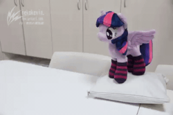 Size: 540x359 | Tagged: safe, artist:nekokevin, twilight sparkle, alicorn, pony, g4, 4de, animated, clothes, cute, dancing, excited, female, gif, happy, irl, mare, open mouth, photo, pillow, plushie, smiling, socks, solo, spread wings, starlight's little twibird, stop motion, striped socks, table, twiabetes, twilight sparkle (alicorn), wings