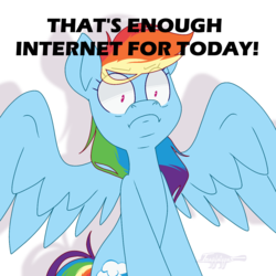 Size: 1200x1200 | Tagged: safe, artist:imaplatypus, rainbow dash, pegasus, pony, g4, disturbed, simple background, solo, spread wings, text, what has been seen, white background, wings
