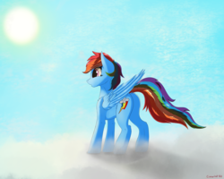 Size: 2500x2000 | Tagged: safe, artist:crimsonwolf360, rainbow dash, pony, g4, backwards cutie mark, cloud, female, high res, solo