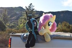 Size: 1342x890 | Tagged: safe, artist:agatrix, artist:joltage, fluttershy, queen chrysalis, changeling, changeling queen, pegasus, pony, g4, chrysalis plushie, female, irl, mountain, mountain range, outdoors, photo, plushie, truck, vehicle